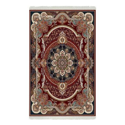فرش ماشینی هیوا طرح کلاسیک R-102 لاکی ۷۰۰ شانه