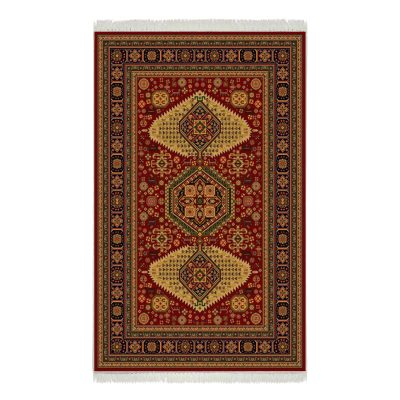 فرش ماشینی هیوا طرح بوستان R-525 لاکی ۷۰۰ شانه