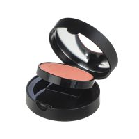 ‫رژ گونه نوت Note Luminous Silk شماره 2