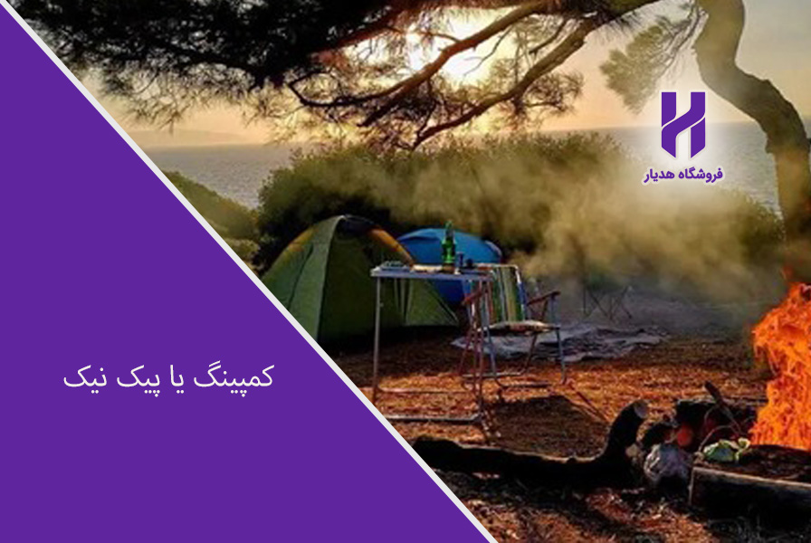 کمپینگ یا پیک نیک