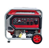 موتور برق ادون پرومکس مدل EPM-13000A-S تک فاز ظرفیت ۱۰ کیلووات