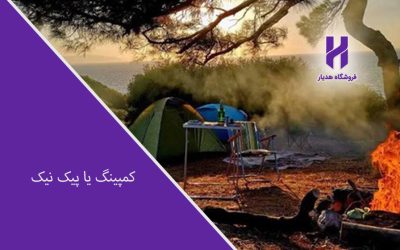 کمپینگ یا پیک نیک
